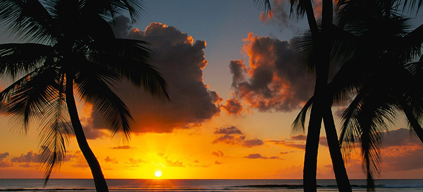 攻击网站服务器