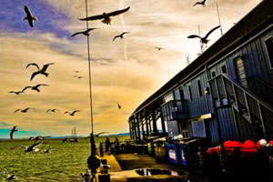 ddos攻击测试工具