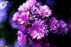 攻击网站服务器